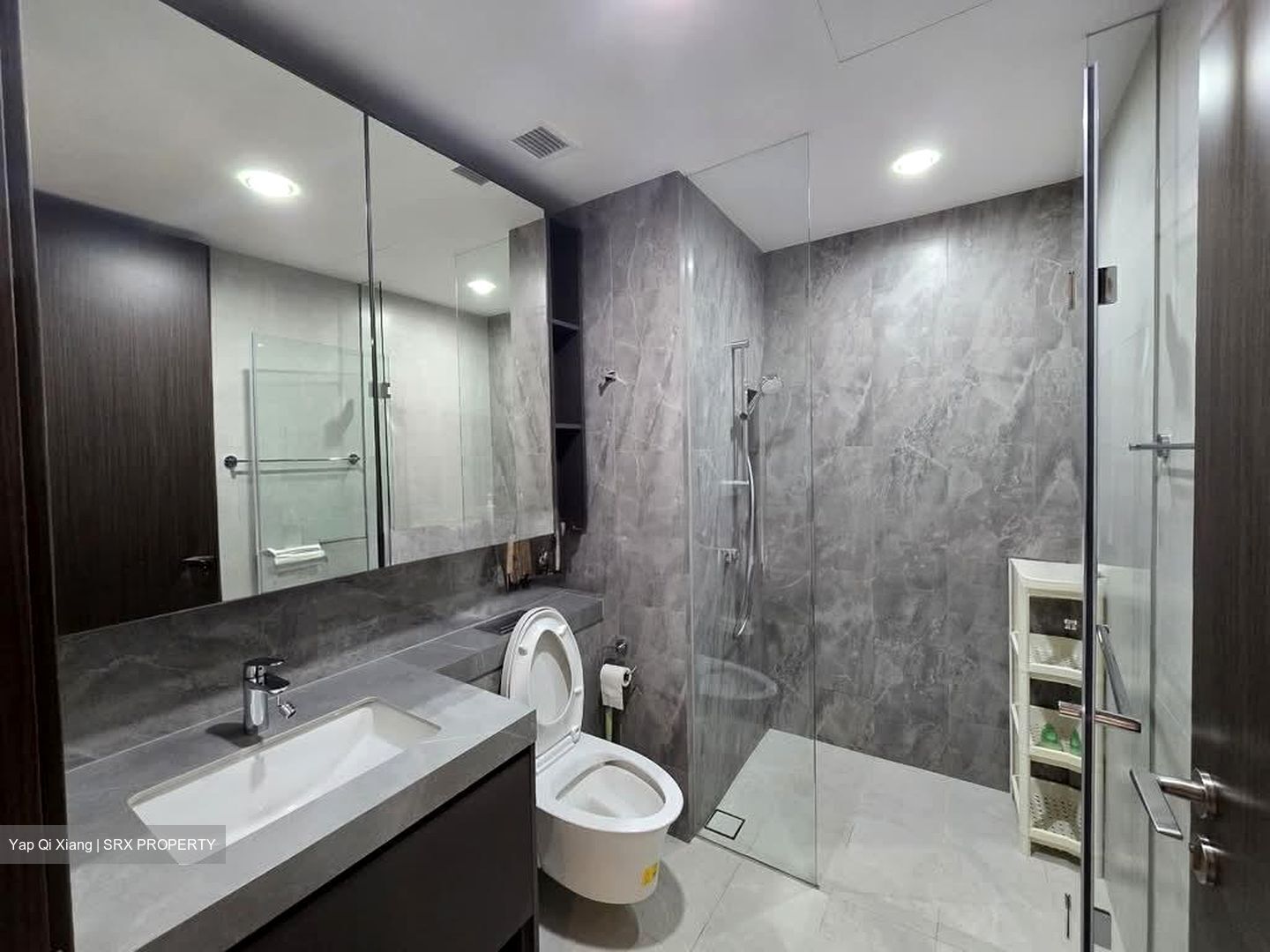Parc Clematis (D5), Apartment #553366751